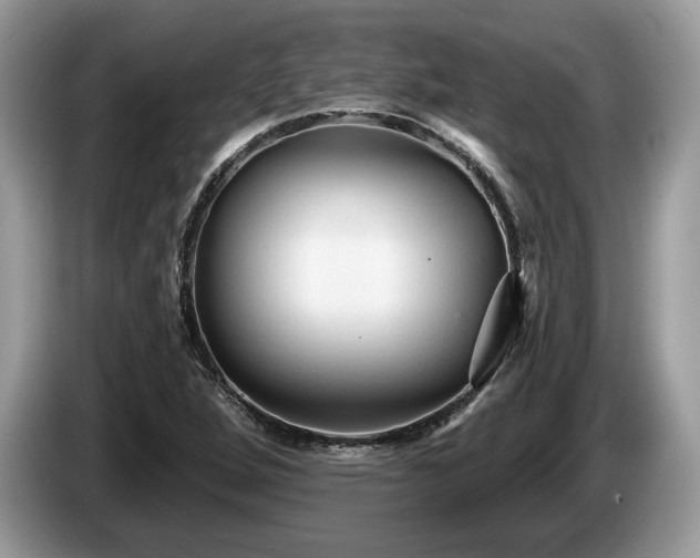 X0000087511264200704271116
