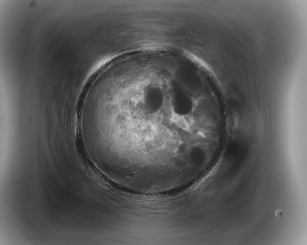X0000087511267200704271116