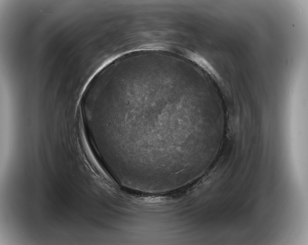 X0000087511268200704271116