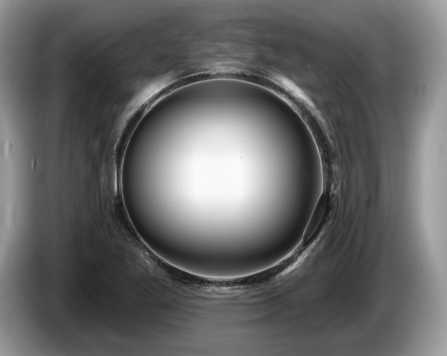 X0000087511269200704271116