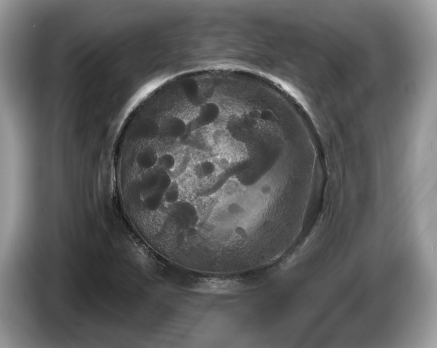 X0000087511271200704271116