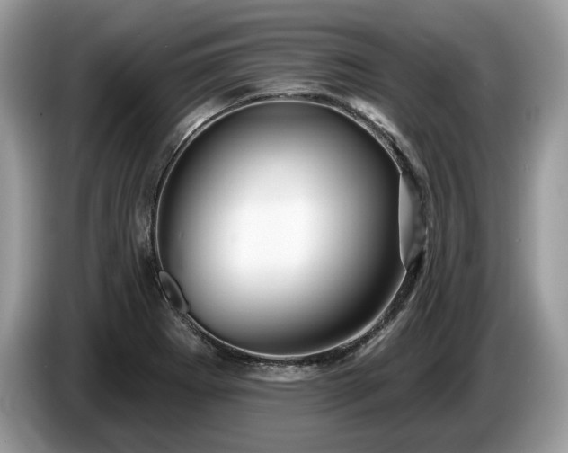 X0000087511273200704271116