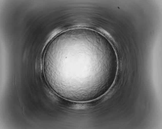 X0000087511274200704271116