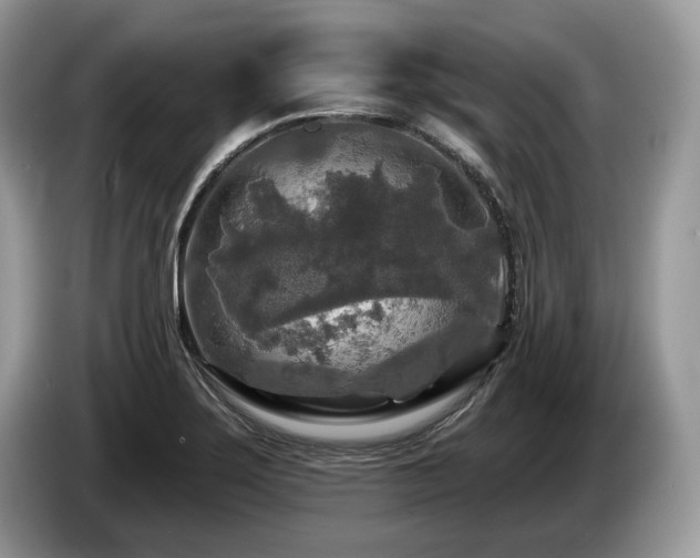 X0000087511275200704271116