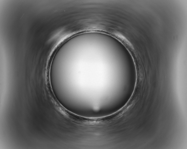 X0000087511278200704271116