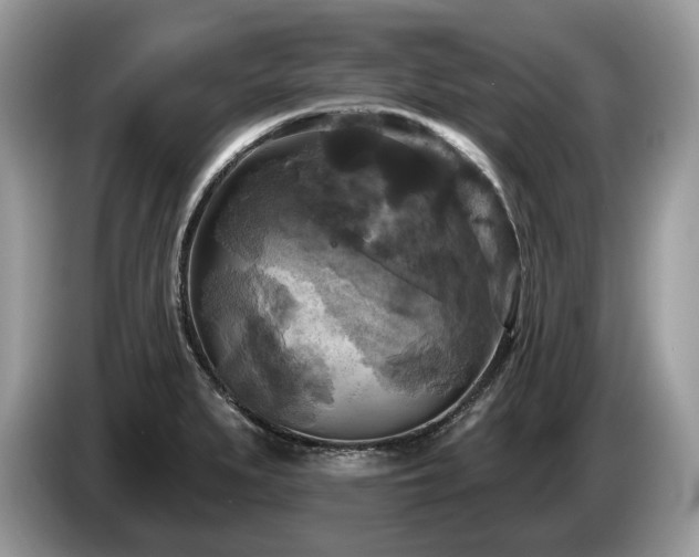 X0000087511279200704271116