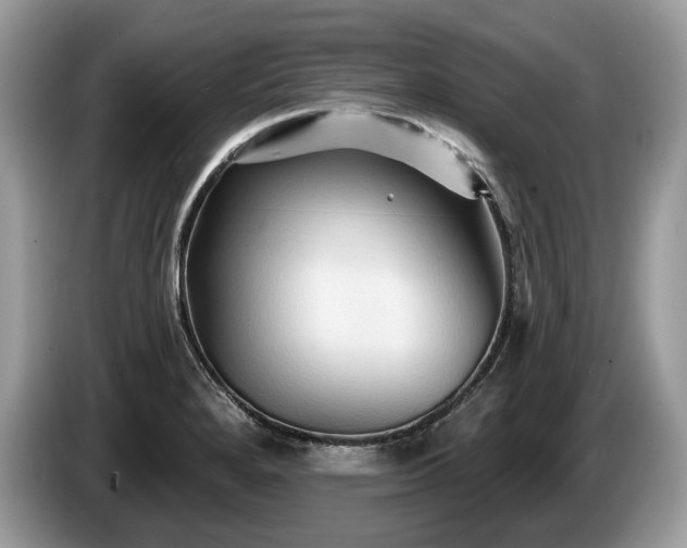 X0000087511280200704271116