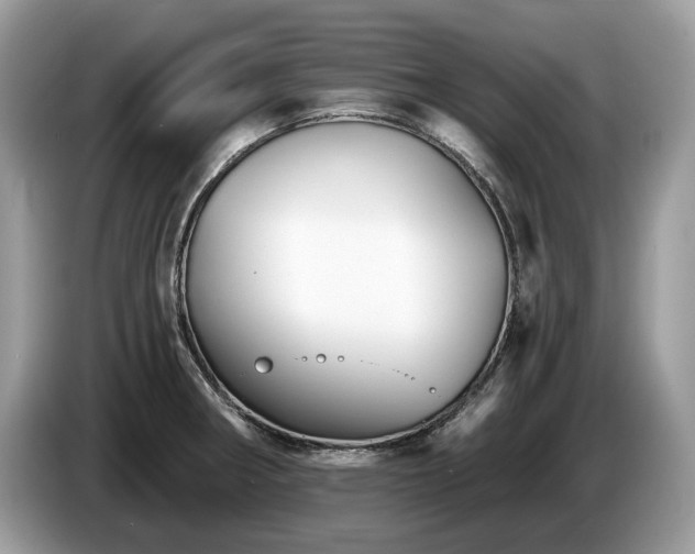 X0000087511282200704271116