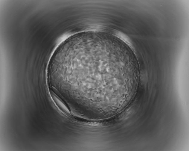 X0000087511283200704271116