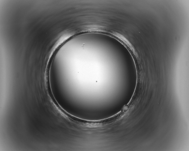 X0000087511285200704271116