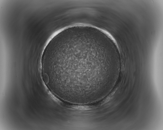 X0000087511287200704271116