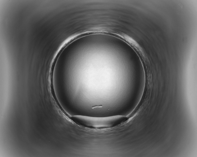 X0000087511288200704271116