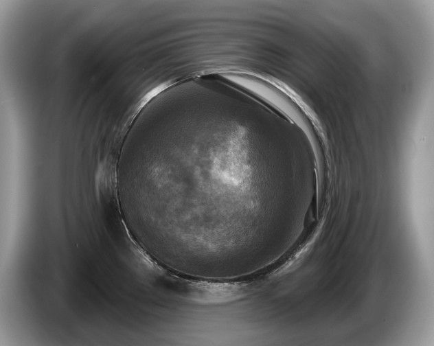 X0000087511289200704271116