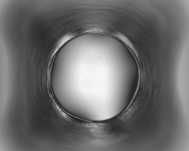 X0000087511290200704271116
