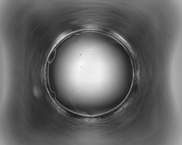 X0000087511291200704271116