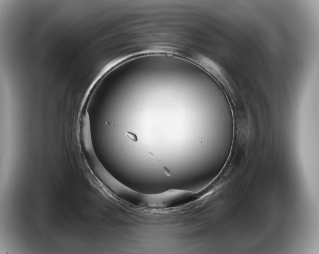 X0000087511292200704271116