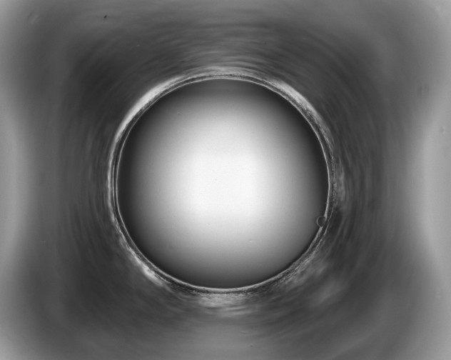 X0000087511294200704271116