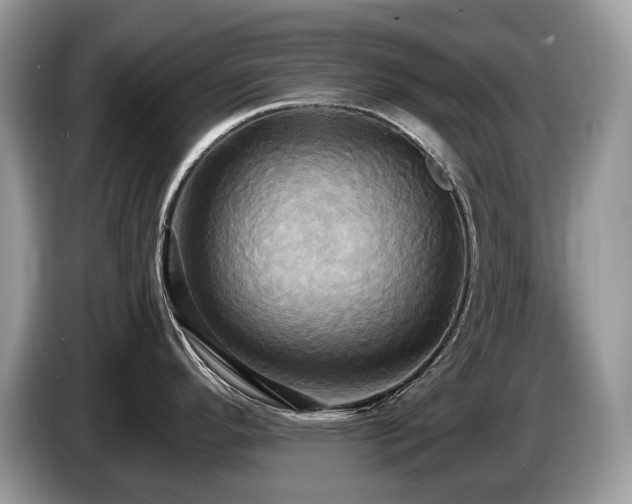 X0000087511296200704271116