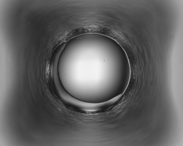 X0000087511298200704271115