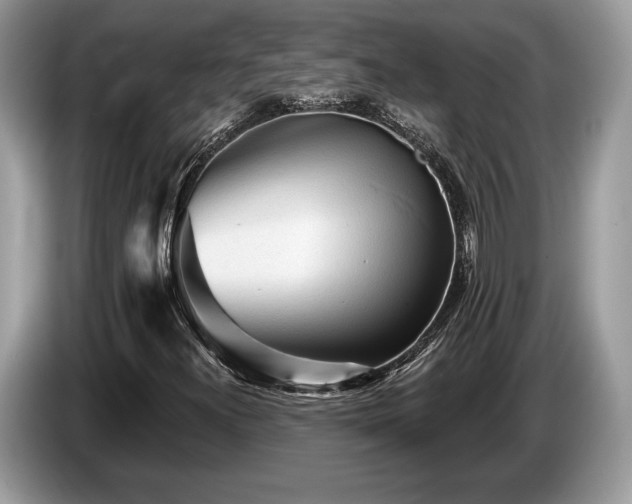 X0000087511300200704271115