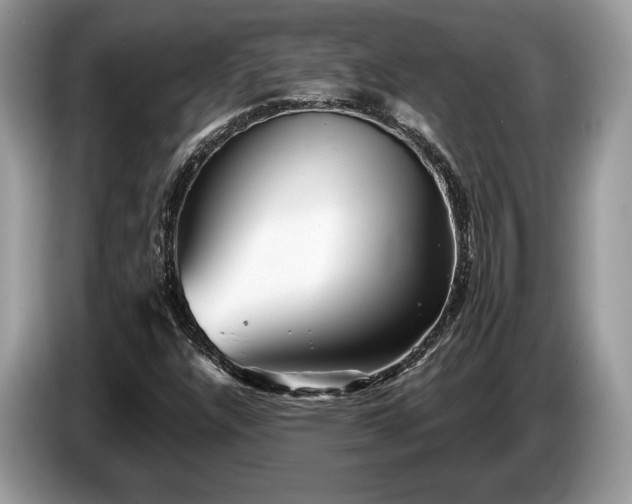 X0000087511304200704271115