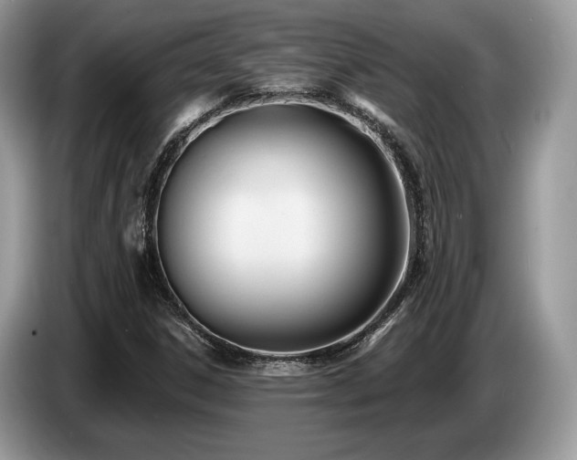 X0000087511306200704271115