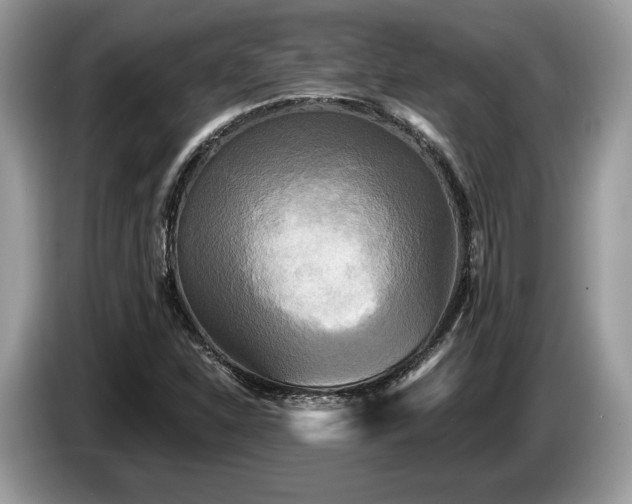 X0000087511310200704271115