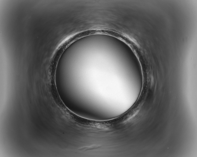 X0000087511311200704271115