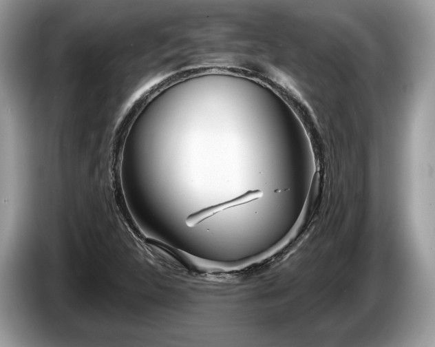X0000087511312200704271115