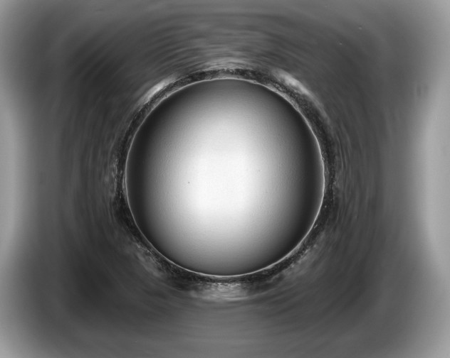 X0000087511313200704271115