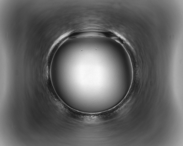 X0000087511317200704271116