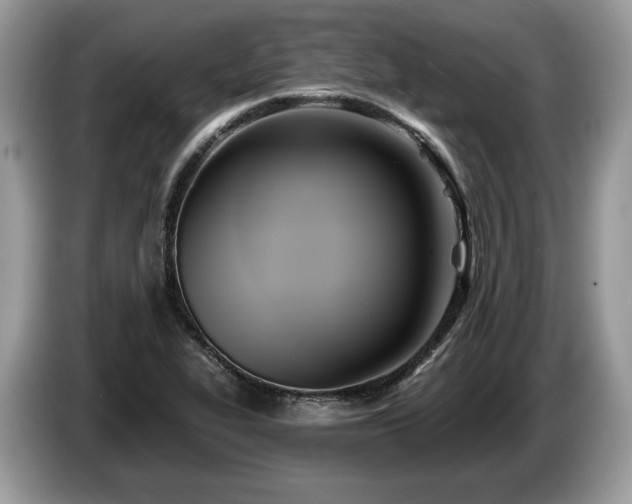 X0000087511319200704271116