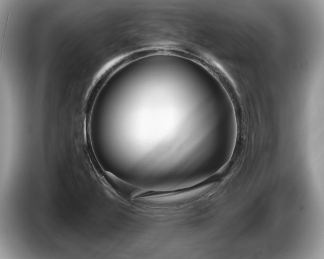 X0000087511320200704271116