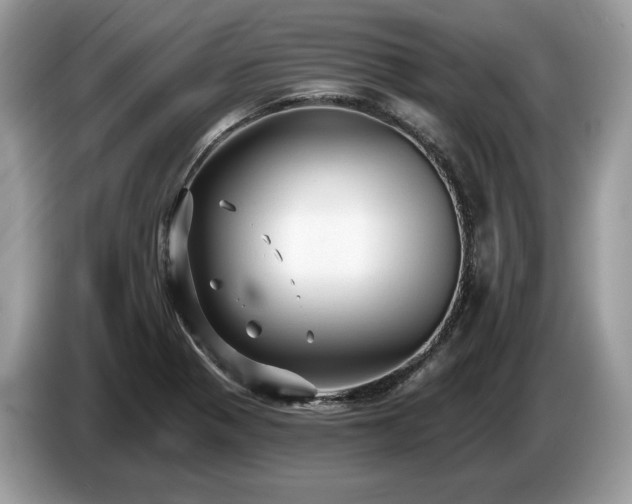 X0000087511321200704271116