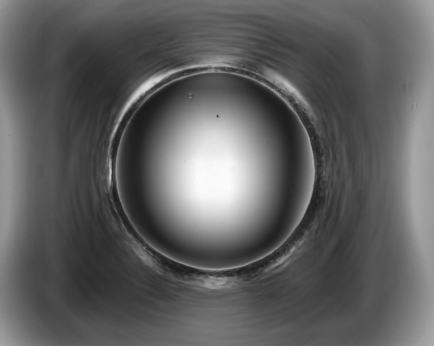 X0000087511324200704271116