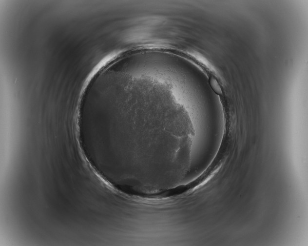 X0000087511325200704271116