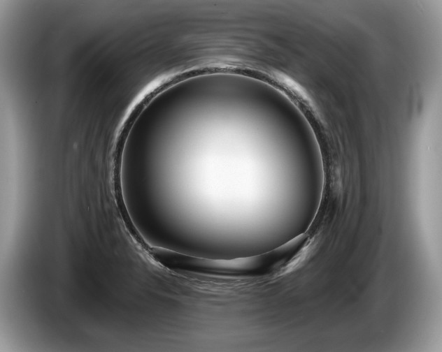 X0000087511326200704271116