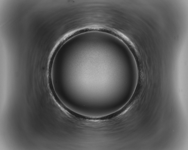 X0000087511327200704271116