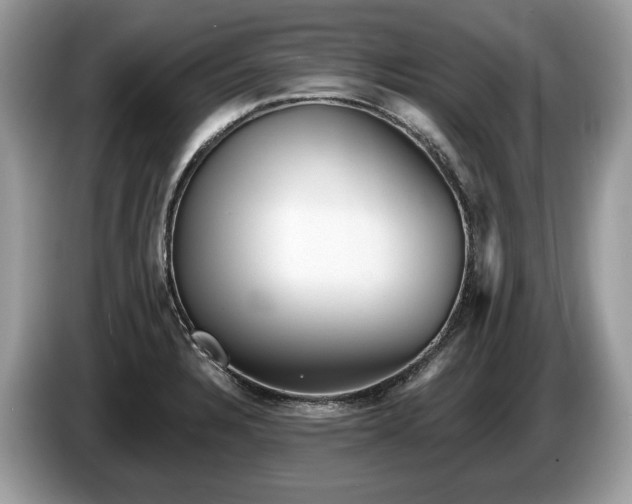 X0000087511328200704271116