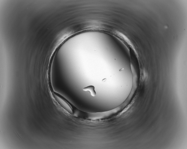 X0000087511330200704271116