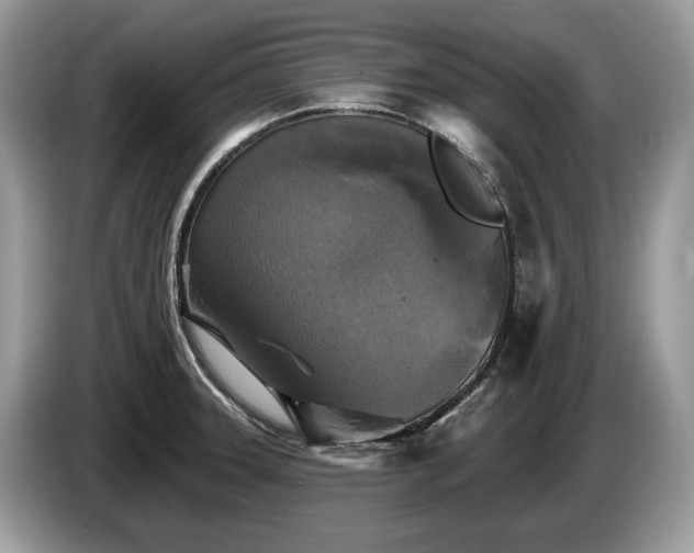 X0000087511331200704271116