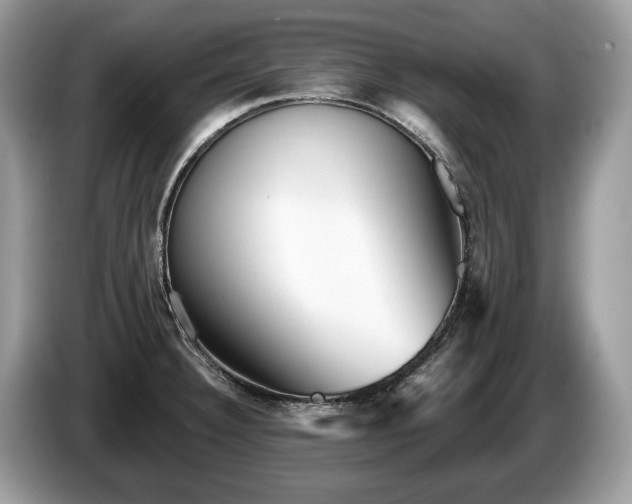 X0000087511332200704271116