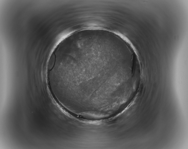 X0000087511333200704271116