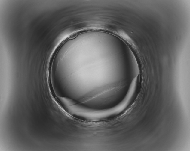 X0000087511334200704271116