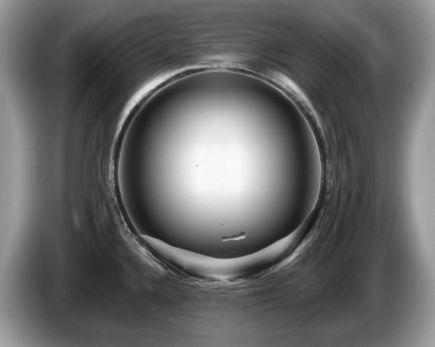 X0000087511336200704271116
