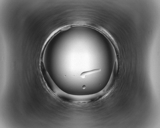 X0000087511340200704271116