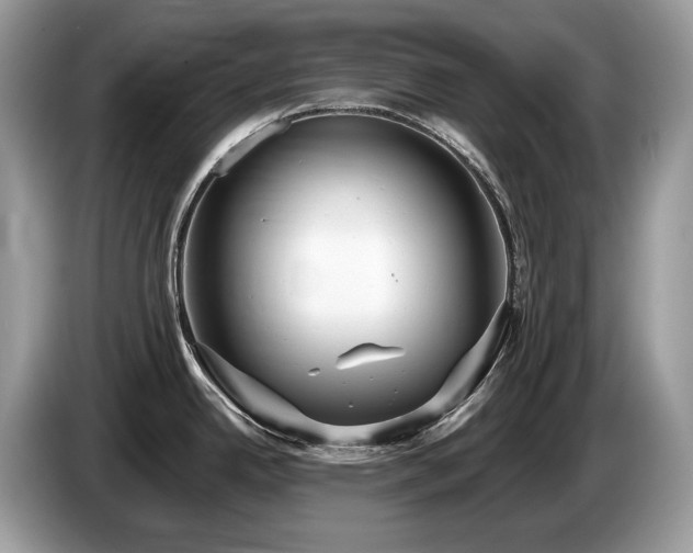 X0000087511342200704271116