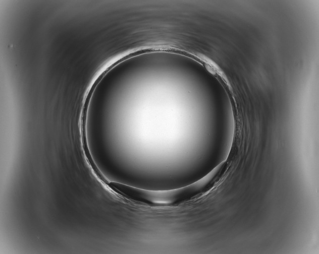 X0000087511343200704271116