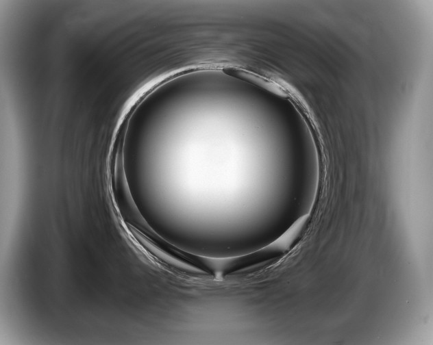 X0000087511344200704271116