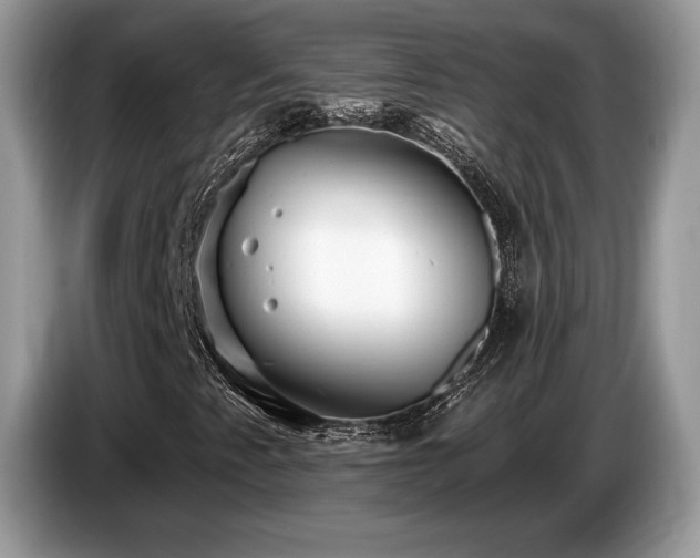 X0000087511345200704271115